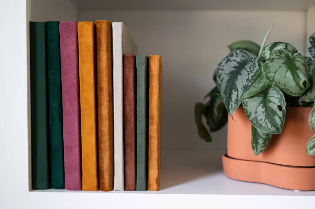 Photo albums on my shelf